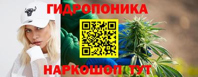 тгк Будённовск