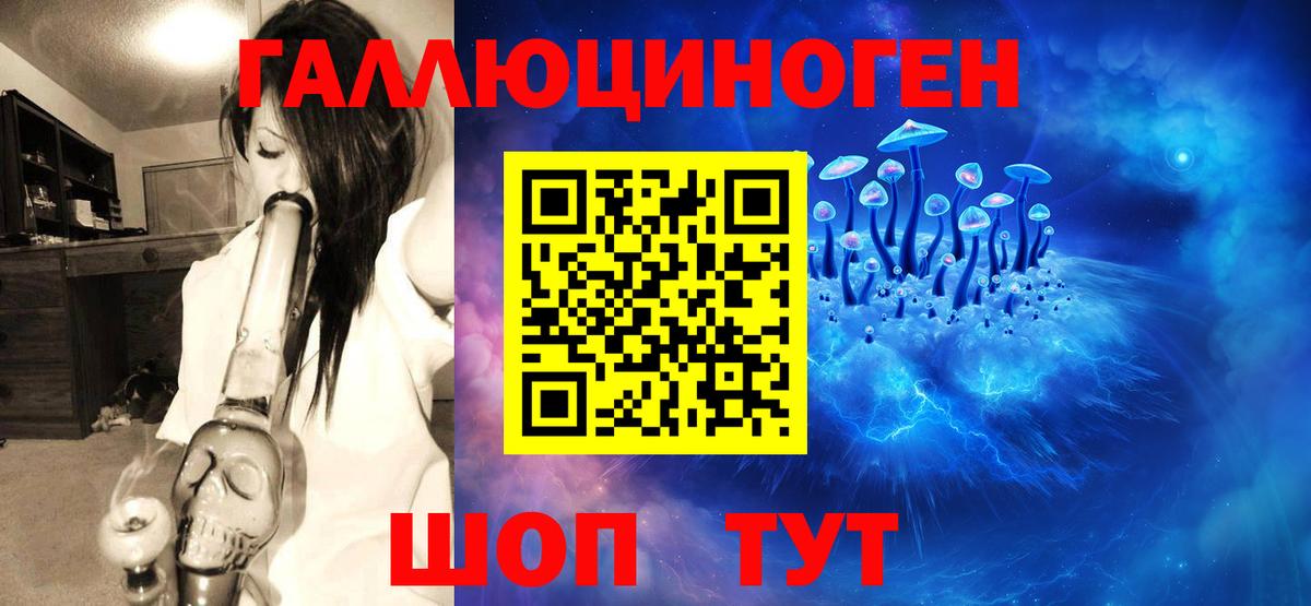 Псилоцибиновые грибы прущие грибы Баксан